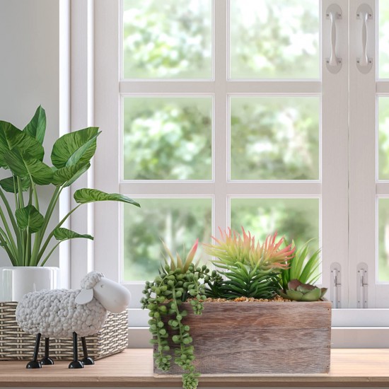 Plants Wooden Pots 